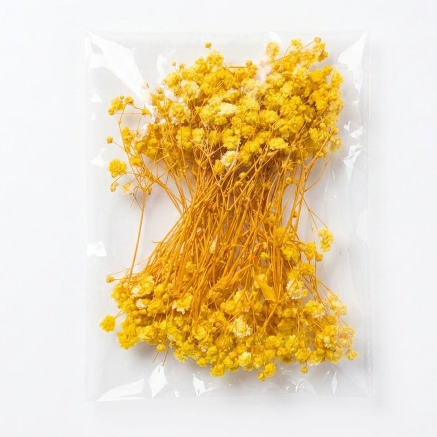 Bakewareind Baby Breath Dried Flower Pack - Bakeware India