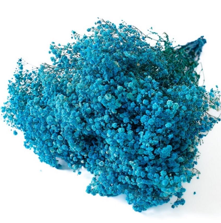Bakewareind Baby Breath Gysophilia Dried Flower, Aqua Blue - Bakeware India