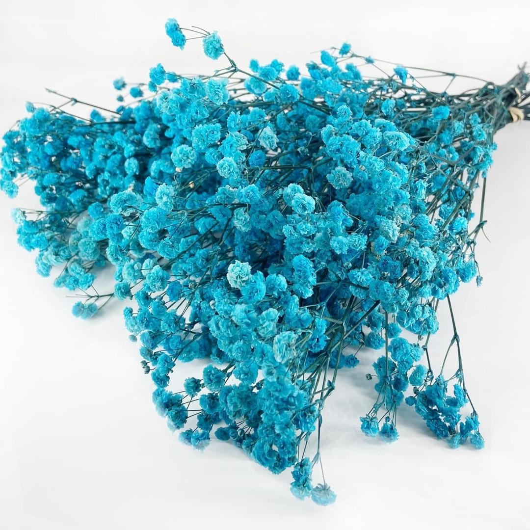 Bakewareind Baby Breath Gysophilia Dried Flower, Aqua Blue - Bakeware India