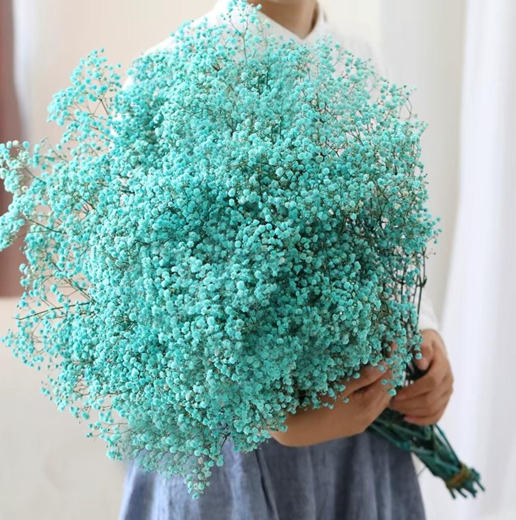 Bakewareind Baby Breath Gysophilia Dried Flower, Aqua Blue - Bakeware India