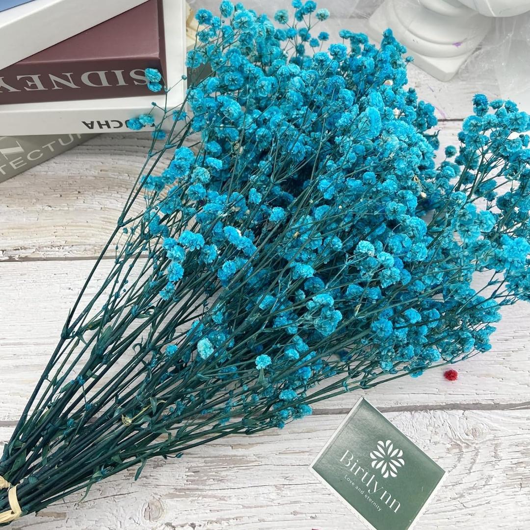 Bakewareind Baby Breath Gysophilia Dried Flower, Aqua Blue - Bakeware India