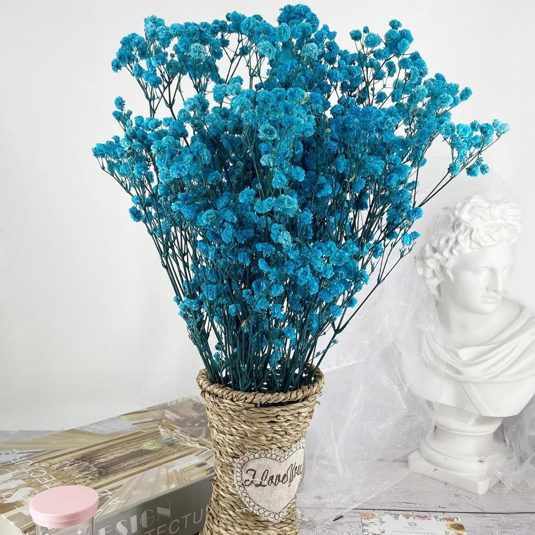 Bakewareind Baby Breath Gysophilia Dried Flower, Aqua Blue - Bakeware India