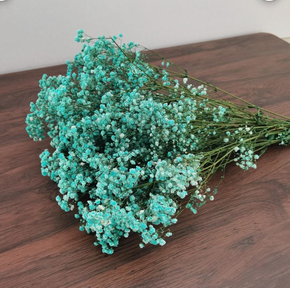 Bakewareind Baby Breath Gysophilia Dried Flower, Aqua Blue - Bakeware India