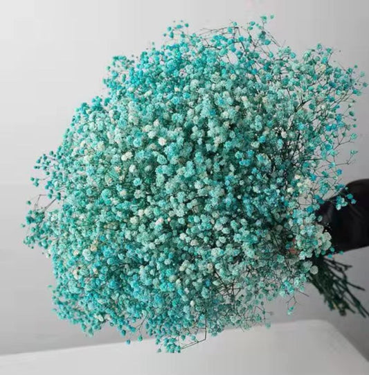 Bakewareind Baby Breath Gysophilia Dried Flower, Aqua Blue - Bakeware India
