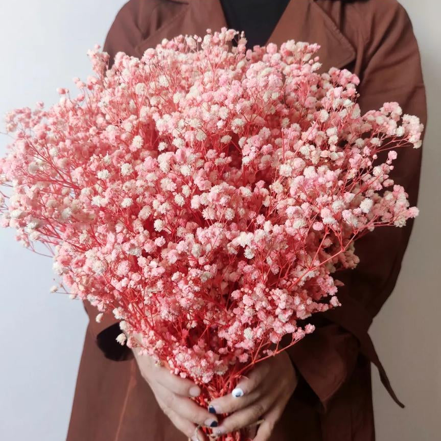 Bakewareind Baby Breath Gysophilia Dried Flower, Baby Pink - Bakeware India