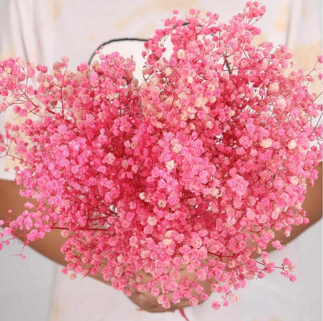 Bakewareind Baby Breath Gysophilia Dried Flower, Baby Pink - Bakeware India