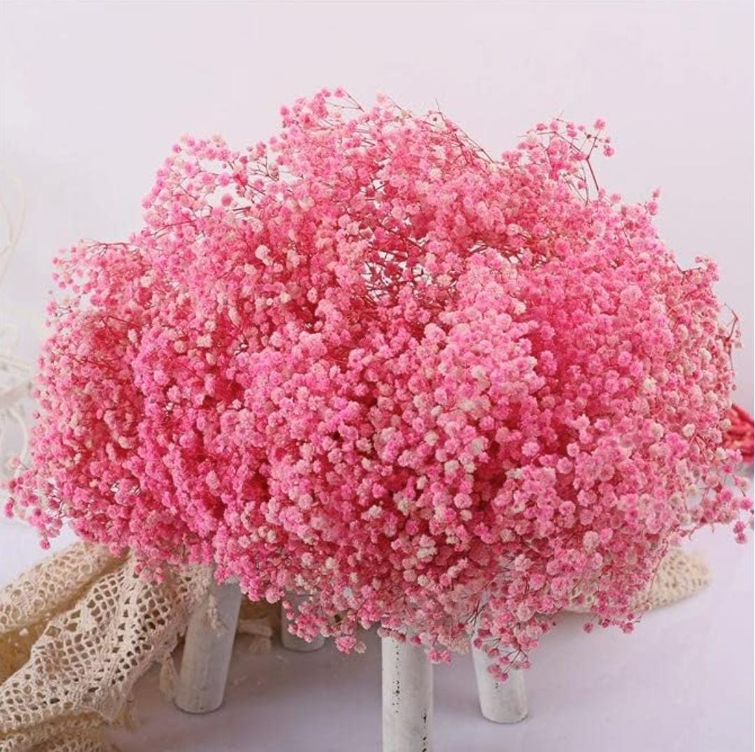 Bakewareind Baby Breath Gysophilia Dried Flower, Baby Pink - Bakeware India