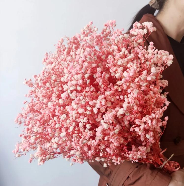 Bakewareind Baby Breath Gysophilia Dried Flower, Baby Pink - Bakeware India