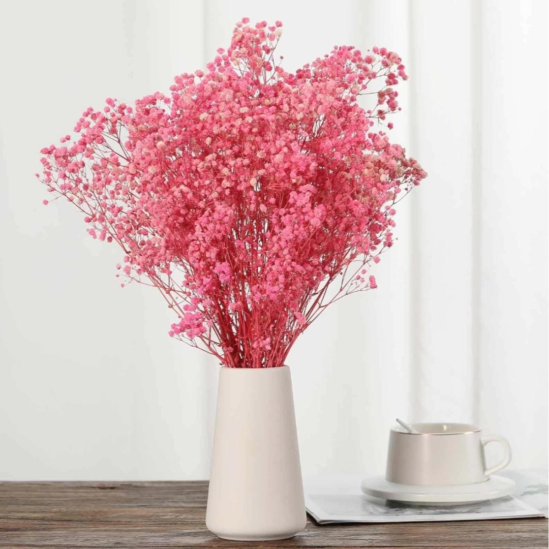 Bakewareind Baby Breath Gysophilia Dried Flower, Baby Pink - Bakeware India