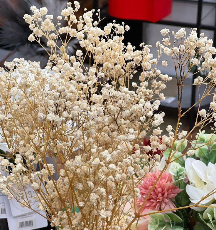 Bakewareind Baby Breath Gysophilia Dried Flower, Beige - Bakeware India