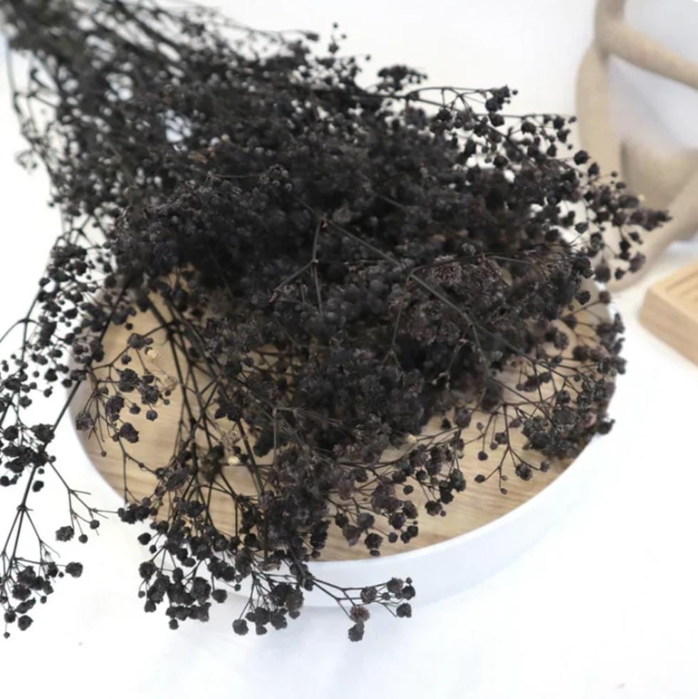 Bakewareind Baby Breath Gysophilia Dried Flower, Black - Bakeware India