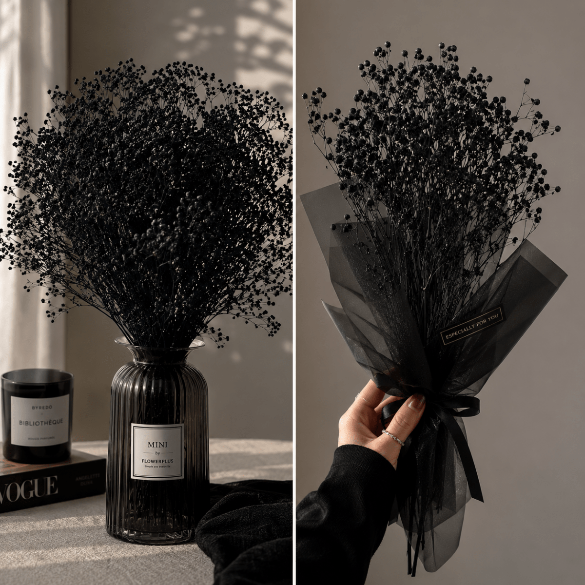 Bakewareind Baby Breath Gysophilia Dried Flower, Black - Bakeware India
