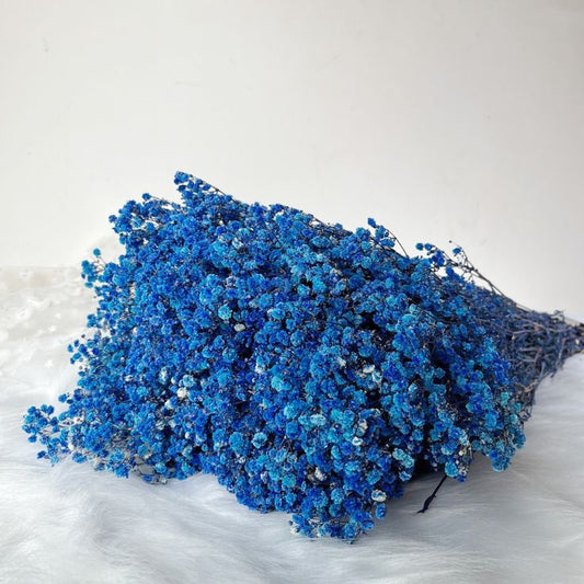 Bakewareind Baby Breath Gysophilia Dried Flower, Blue - Bakeware India