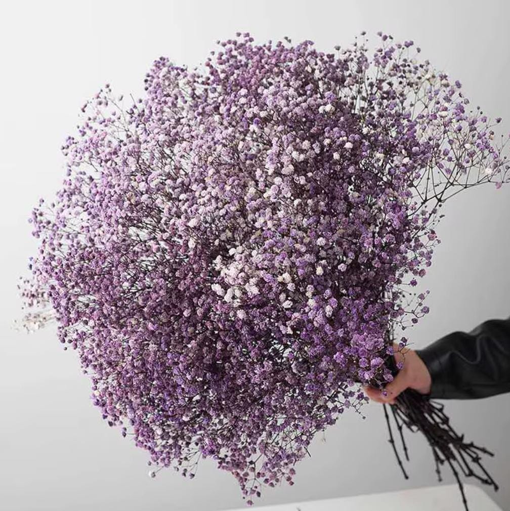 Bakewareind Baby Breath Gysophilia Dried Flower, Dark Purple - Bakeware India