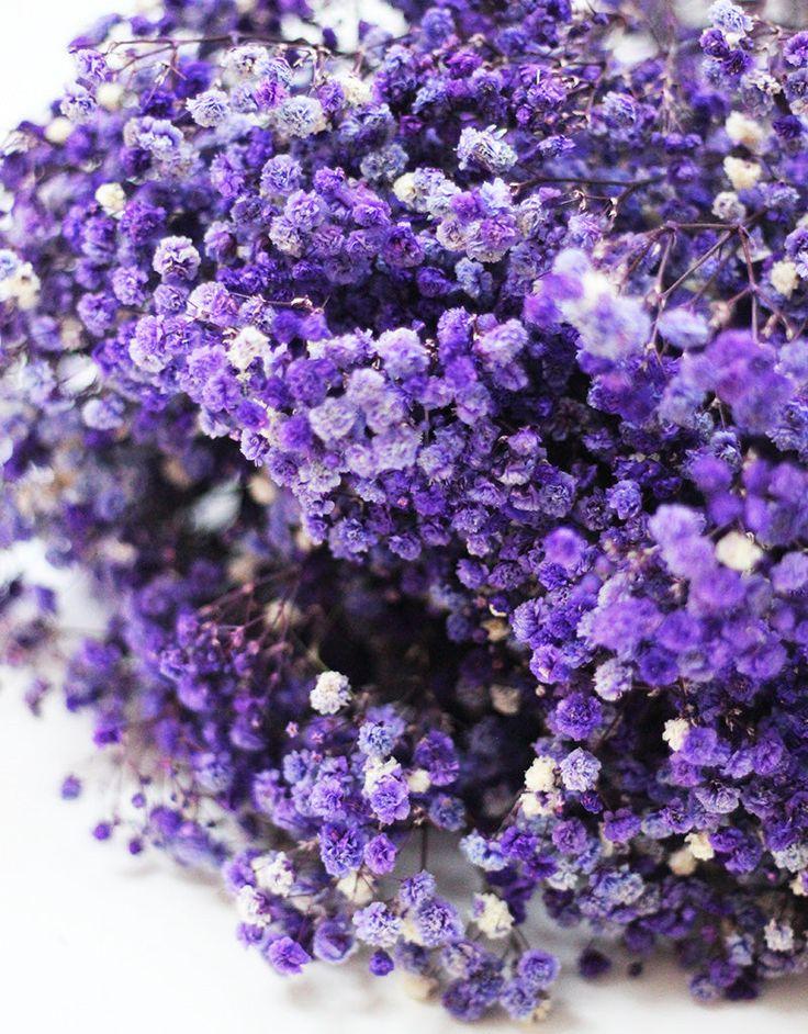 Bakewareind Baby Breath Gysophilia Dried Flower, Dark Purple - Bakeware India