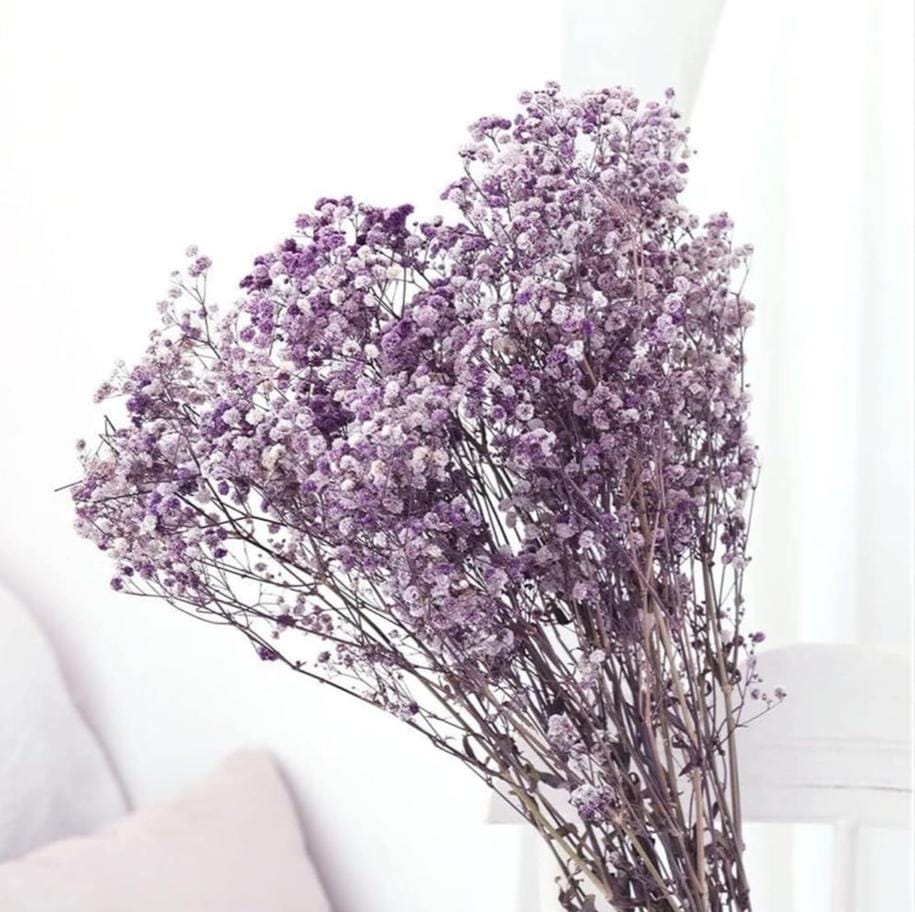 Bakewareind Baby Breath Gysophilia Dried Flower, Dark Purple - Bakeware India