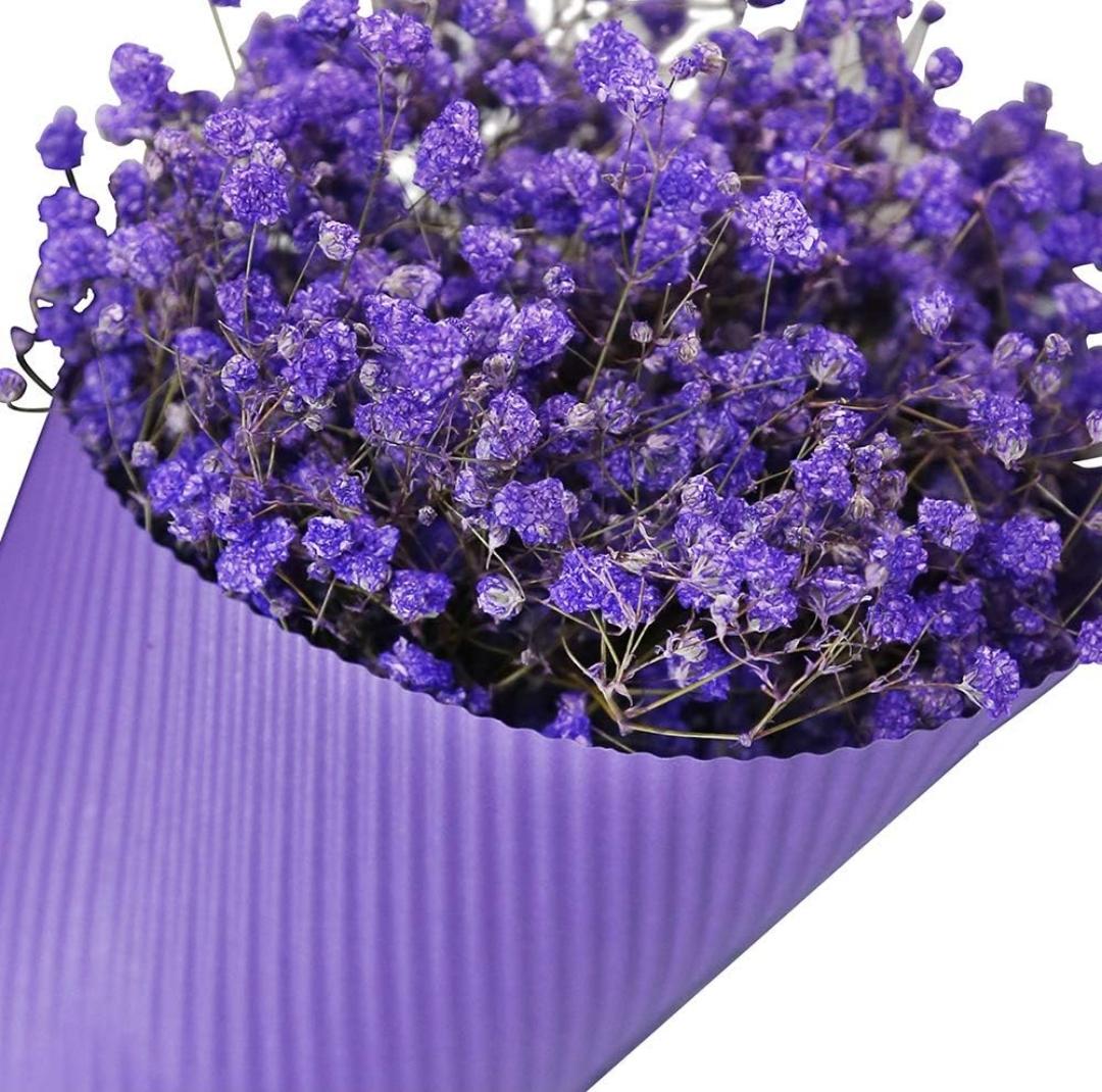 Bakewareind Baby Breath Gysophilia Dried Flower, Dark Purple - Bakeware India