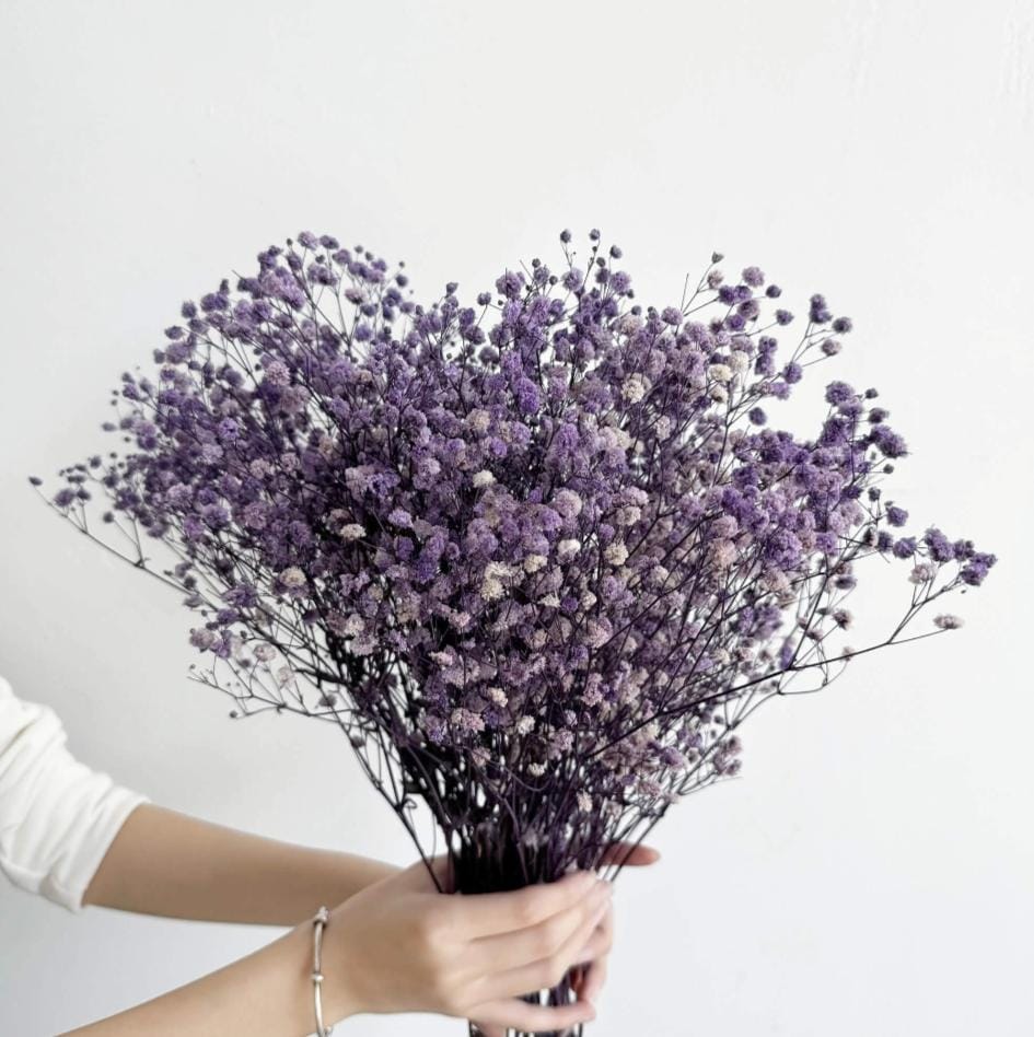 Bakewareind Baby Breath Gysophilia Dried Flower, Dark Purple - Bakeware India