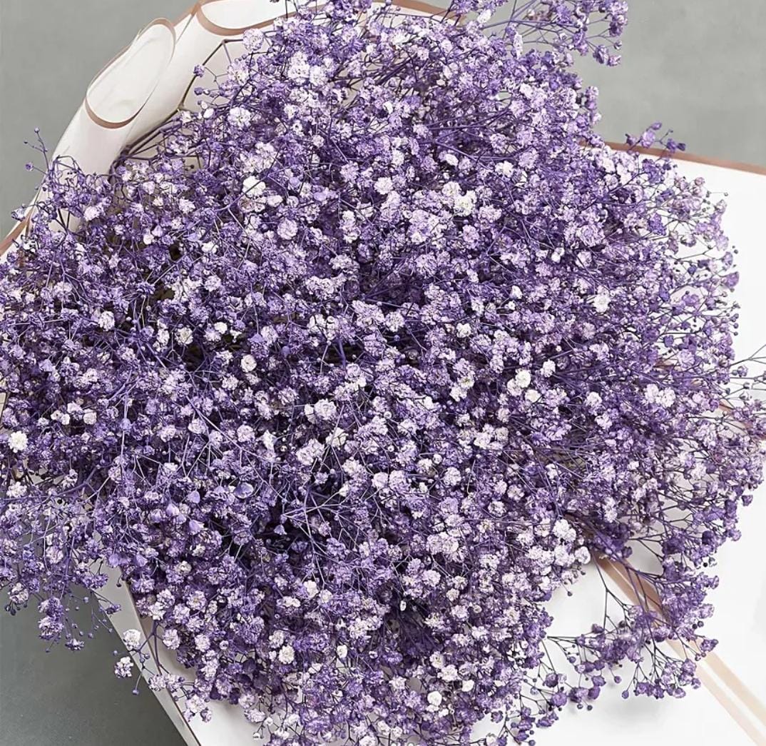 Bakewareind Baby Breath Gysophilia Dried Flower, Dark Purple - Bakeware India