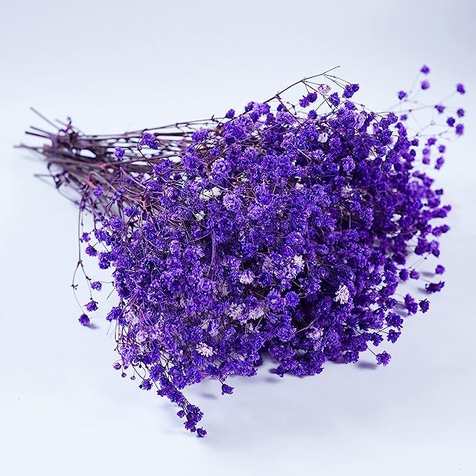 Bakewareind Baby Breath Gysophilia Dried Flower, Dark Purple - Bakeware India