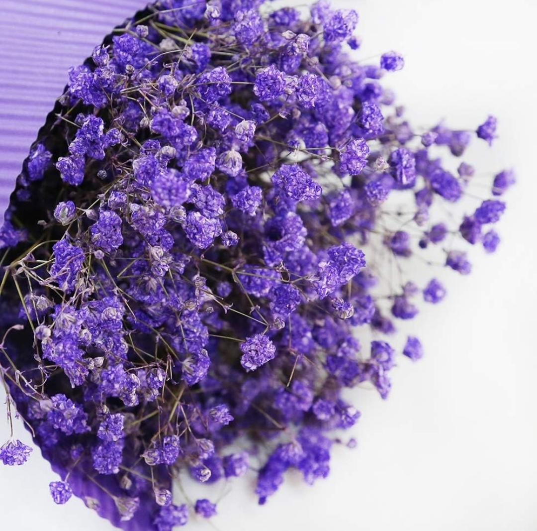 Bakewareind Baby Breath Gysophilia Dried Flower, Dark Purple - Bakeware India