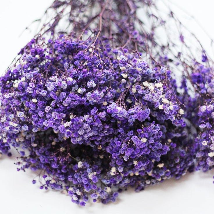 Bakewareind Baby Breath Gysophilia Dried Flower, Dark Purple - Bakeware India
