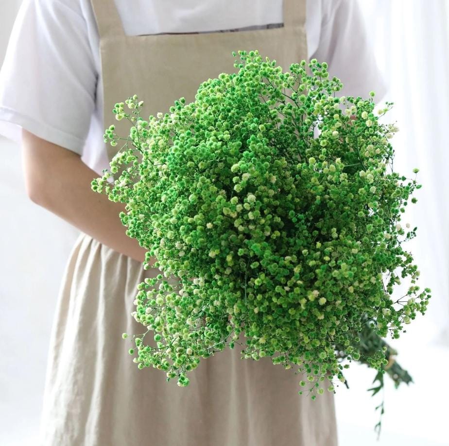Bakewareind Baby Breath Gysophilia Dried Flower, Green - Bakeware India