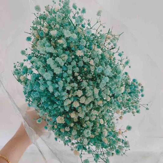 Bakewareind Baby Breath Gysophilia Dried Flower, Green - Bakeware India