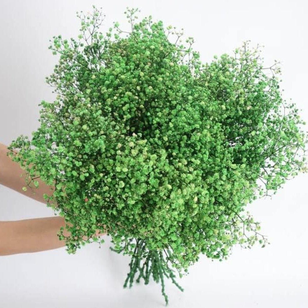 Bakewareind Baby Breath Gysophilia Dried Flower, Green - Bakeware India