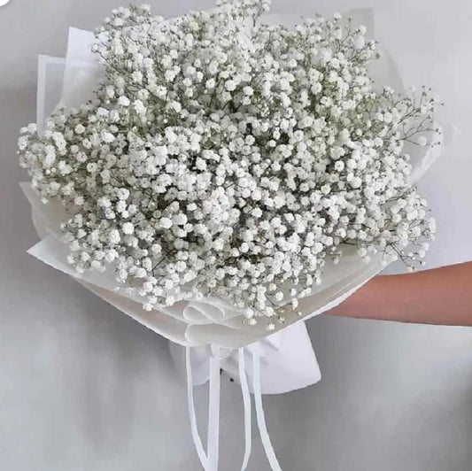 Bakewareind Baby Breath Gysophilia Dried Flower, Natural White - Bakeware India