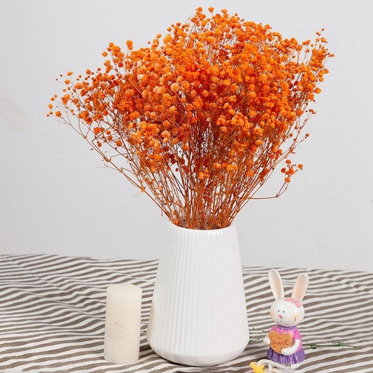 Bakewareind Baby Breath Gysophilia Dried Flower, Orange - Bakeware India