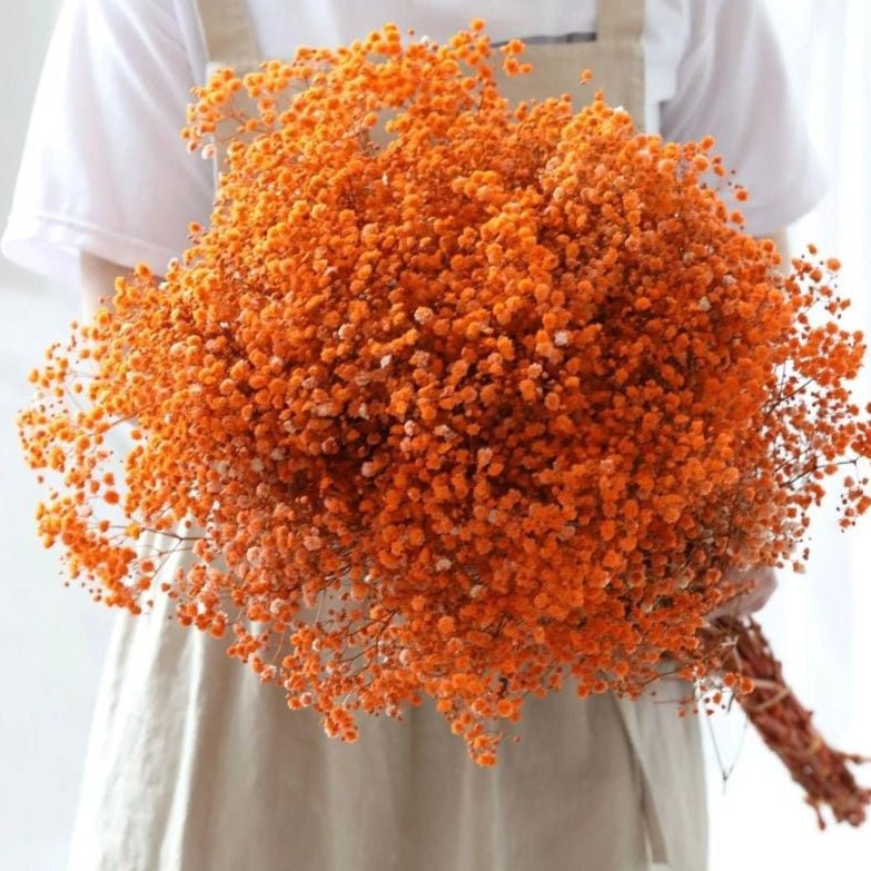 Bakewareind Baby Breath Gysophilia Dried Flower, Orange - Bakeware India