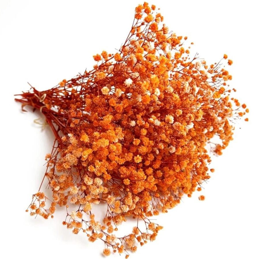 Bakewareind Baby Breath Gysophilia Dried Flower, Orange - Bakeware India