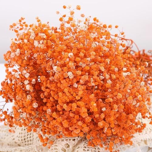 Bakewareind Baby Breath Gysophilia Dried Flower, Orange - Bakeware India