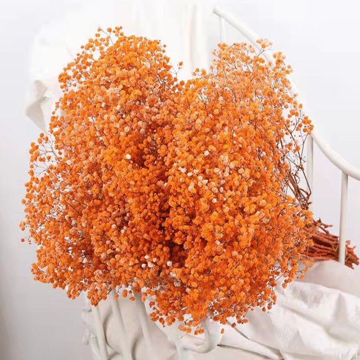 Bakewareind Baby Breath Gysophilia Dried Flower, Orange - Bakeware India