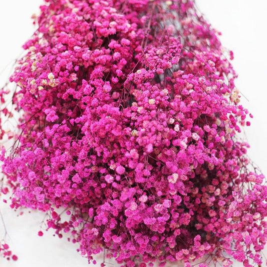 Bakewareind Baby Breath Gysophilia Dried Flower, Pink - Bakeware India