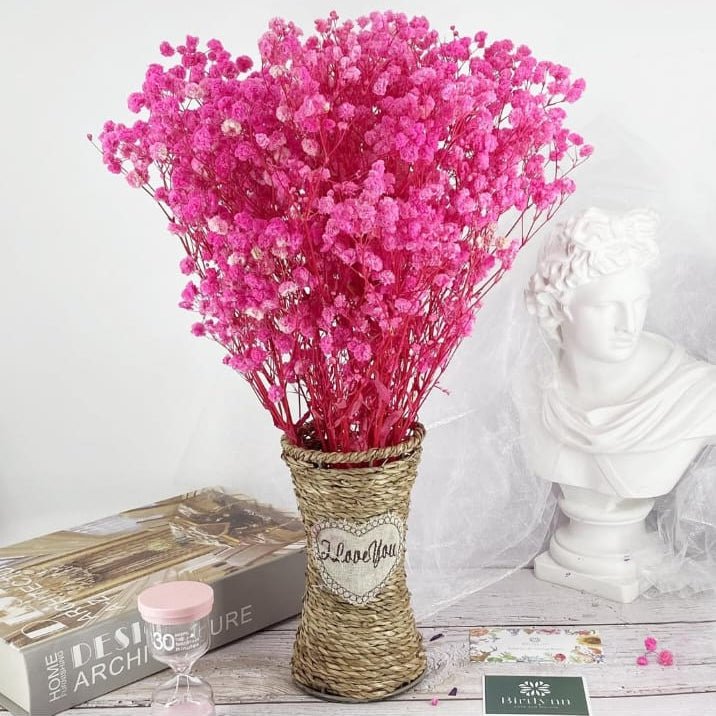 Bakewareind Baby Breath Gysophilia Dried Flower, Pink - Bakeware India
