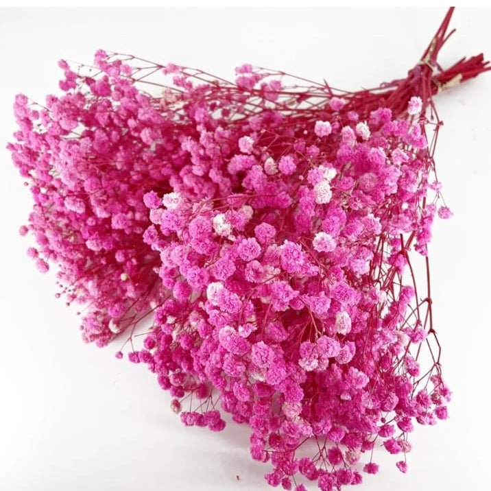 Bakewareind Baby Breath Gysophilia Dried Flower, Pink - Bakeware India