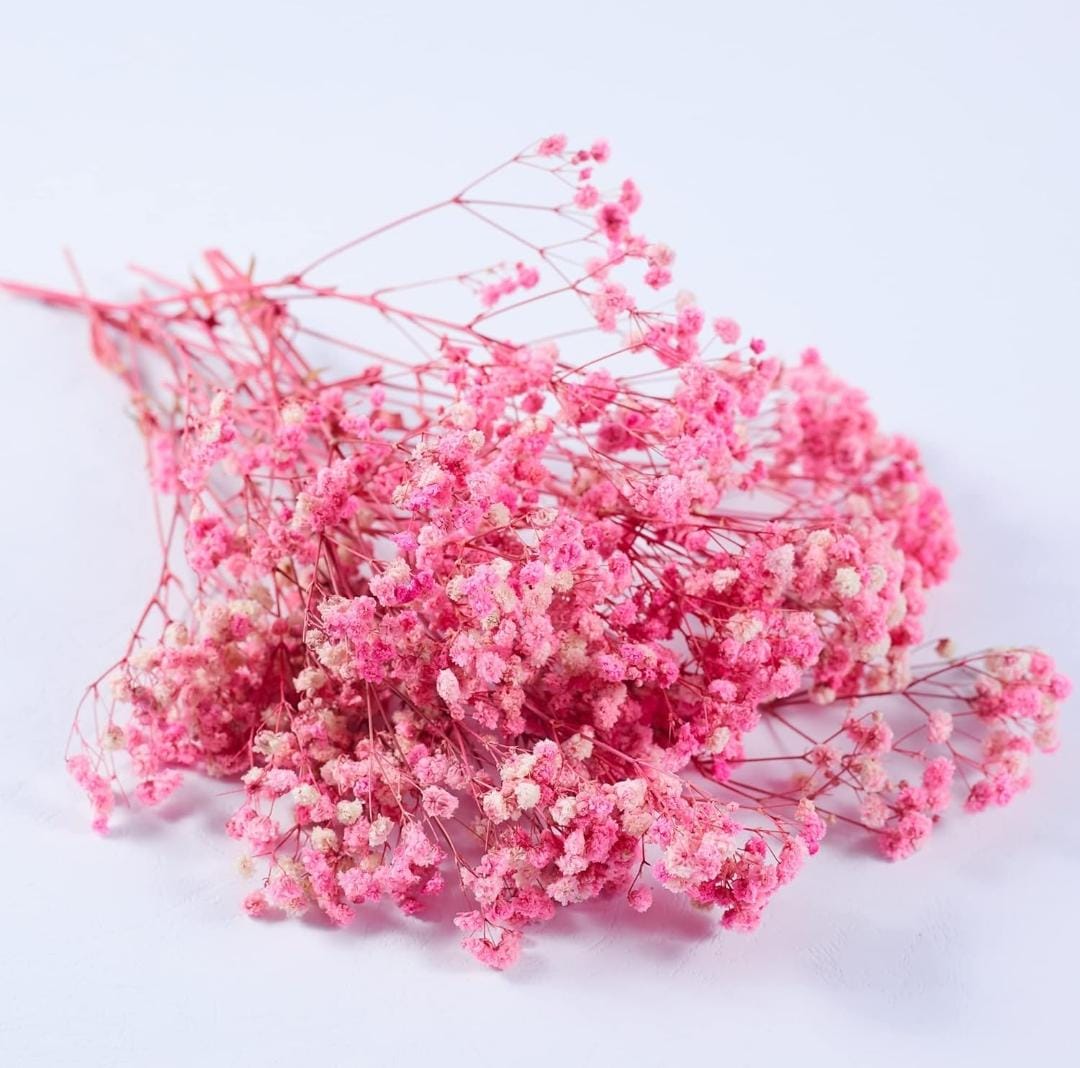 Bakewareind Baby Breath Gysophilia Dried Flower, Pink - Bakeware India