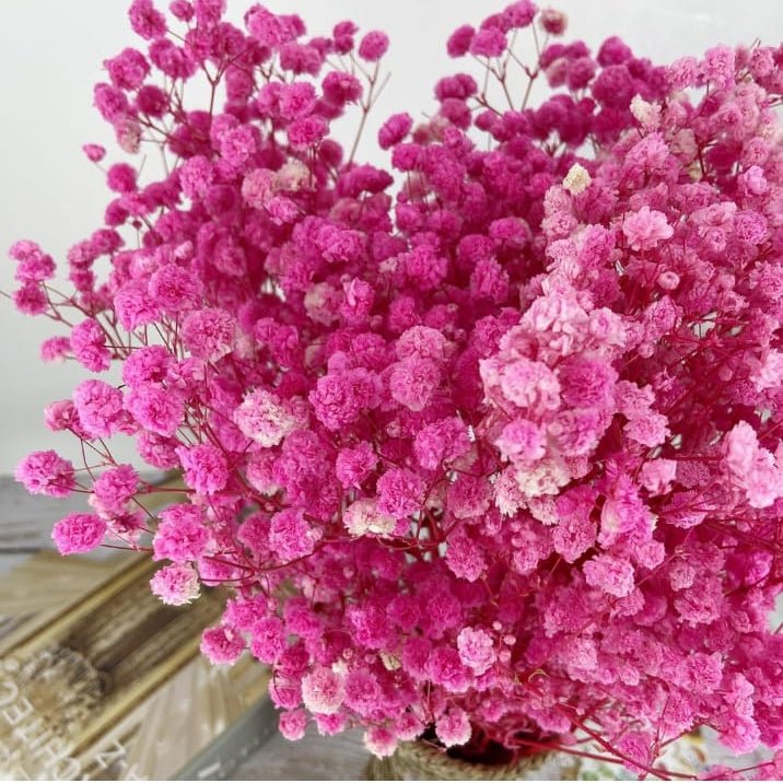Bakewareind Baby Breath Gysophilia Dried Flower, Pink - Bakeware India
