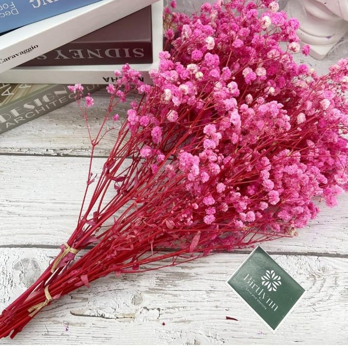 Bakewareind Baby Breath Gysophilia Dried Flower, Pink - Bakeware India