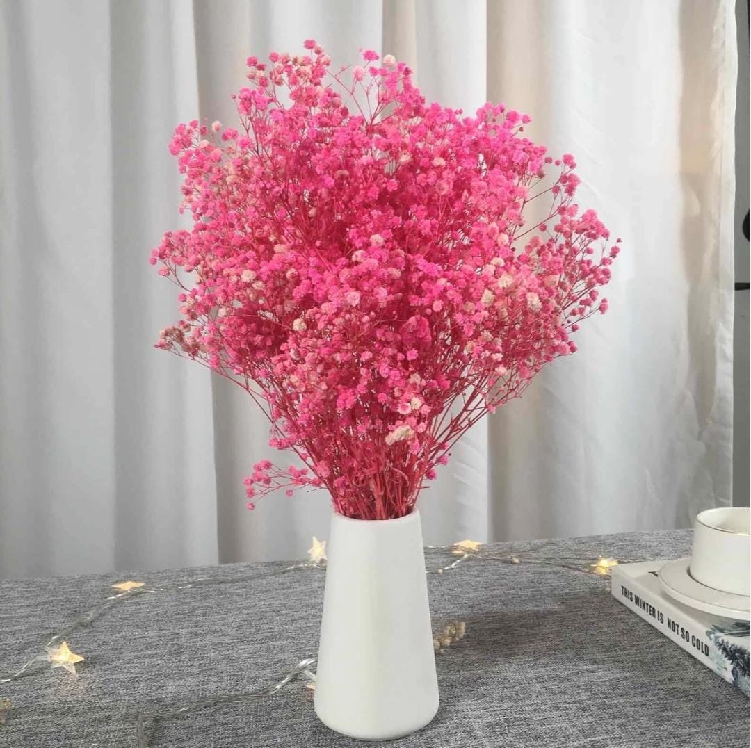 Bakewareind Baby Breath Gysophilia Dried Flower, Pink - Bakeware India