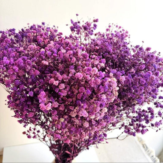 Bakewareind Baby Breath Gysophilia Dried Flower, Purple - Bakeware India
