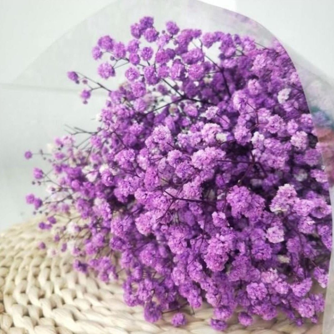 Bakewareind Baby Breath Gysophilia Dried Flower, Purple - Bakeware India