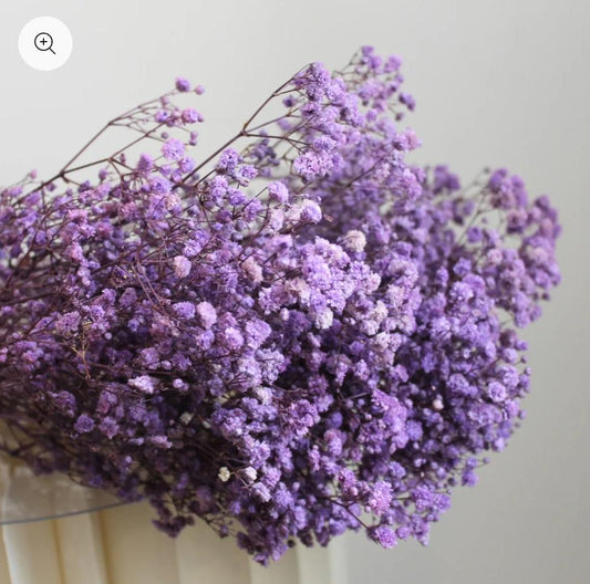 Bakewareind Baby Breath Gysophilia Dried Flower, Purple - Bakeware India