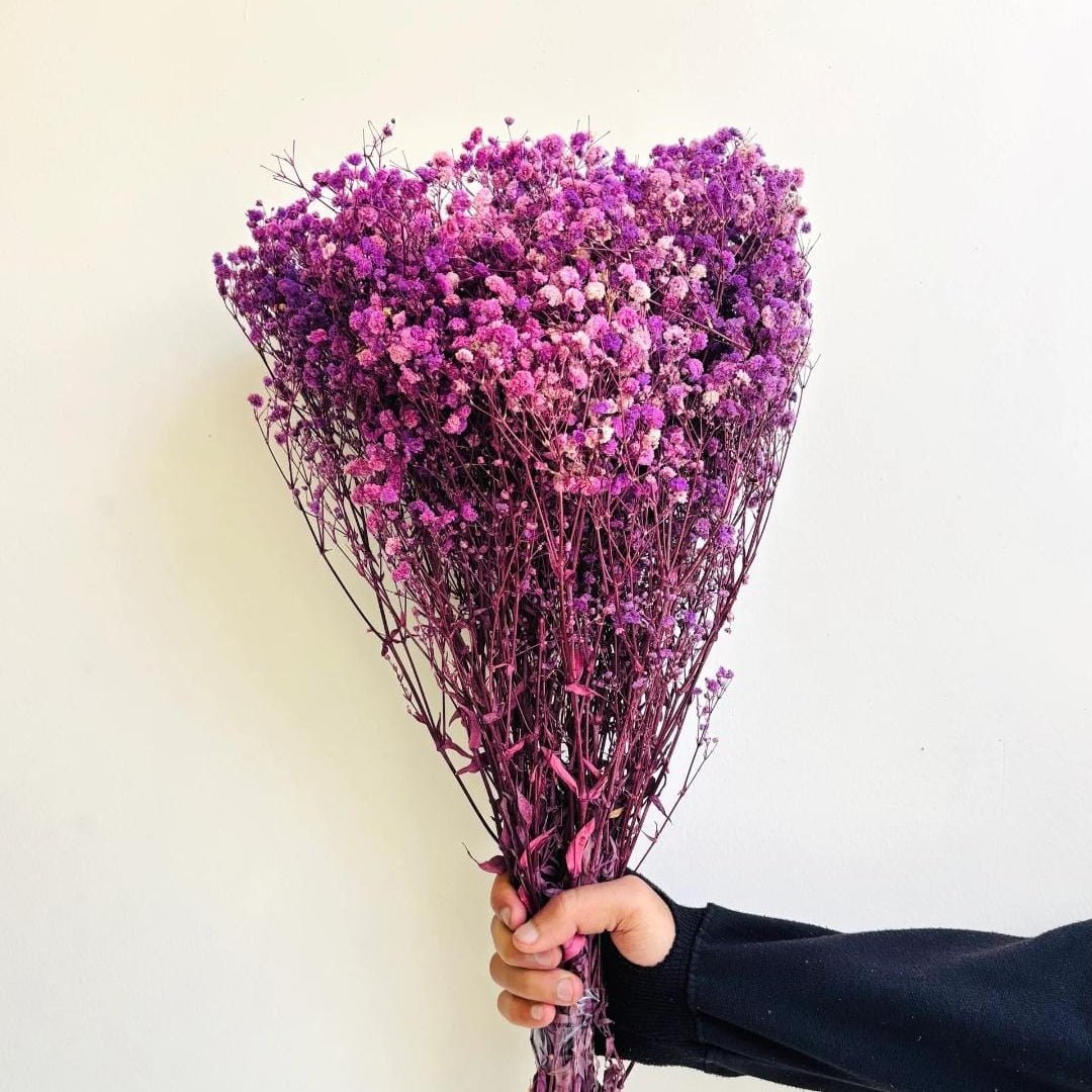 Bakewareind Baby Breath Gysophilia Dried Flower, Purple - Bakeware India