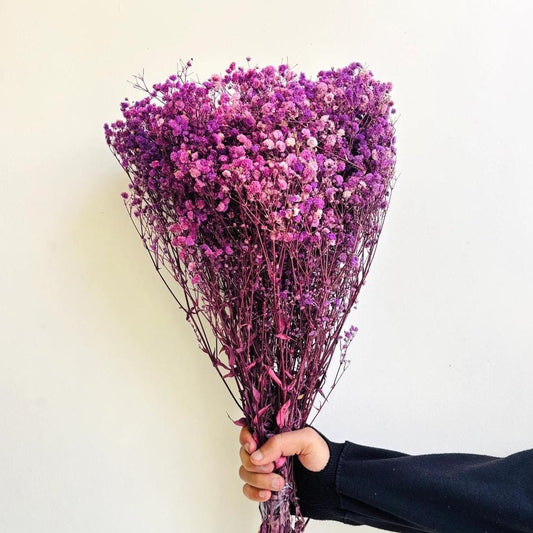 Bakewareind Baby Breath Gysophilia Dried Flower, Purple - Bakeware India