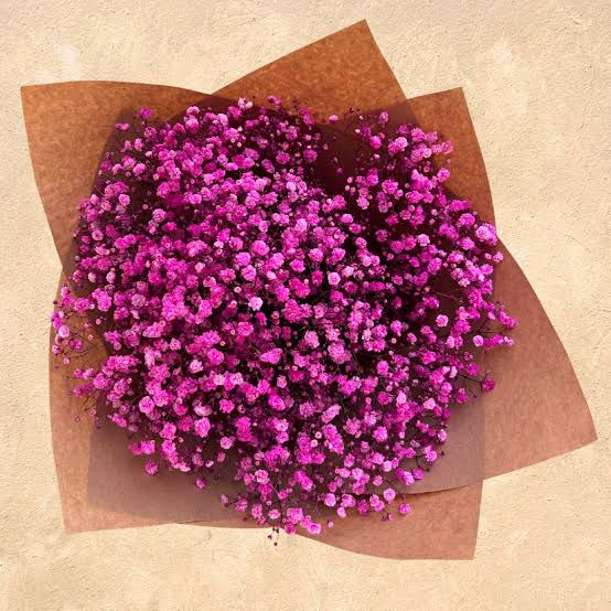 Bakewareind Baby Breath Gysophilia Dried Flower, Purplish Pink - Bakeware India