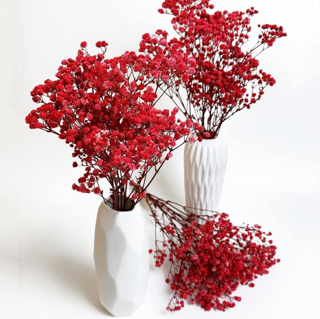 Bakewareind Baby Breath Gysophilia Dried Flower, Red - Bakeware India