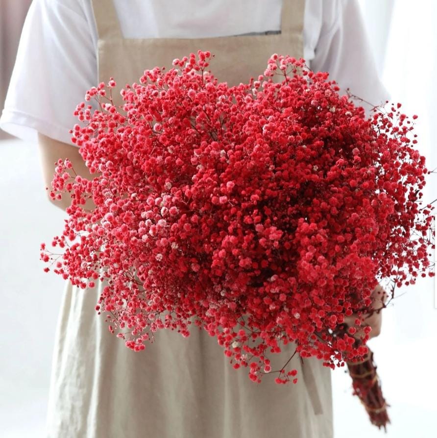 Bakewareind Baby Breath Gysophilia Dried Flower, Red - Bakeware India